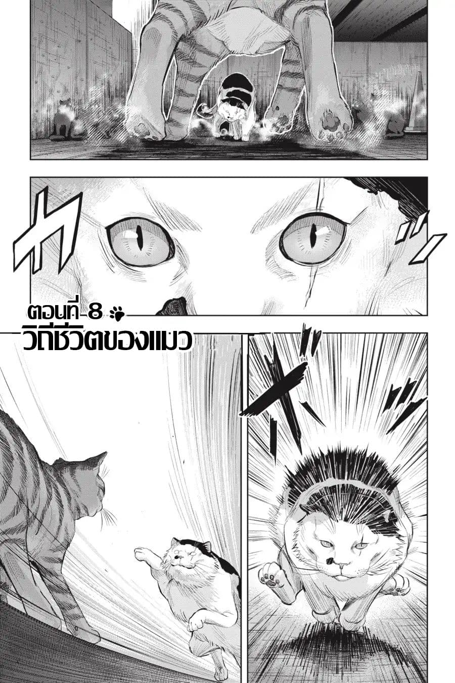 Nyankees page 1