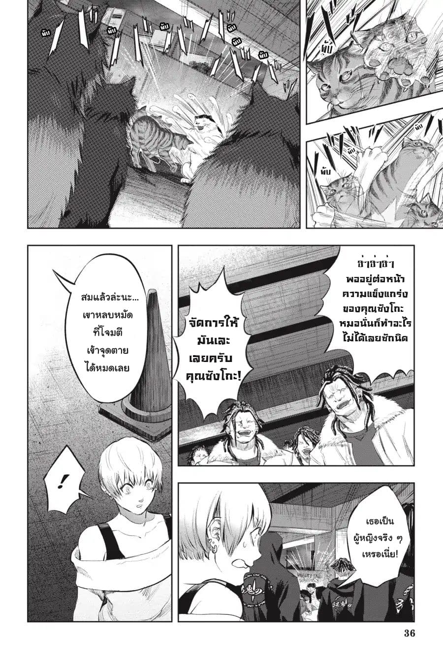 Nyankees page 4