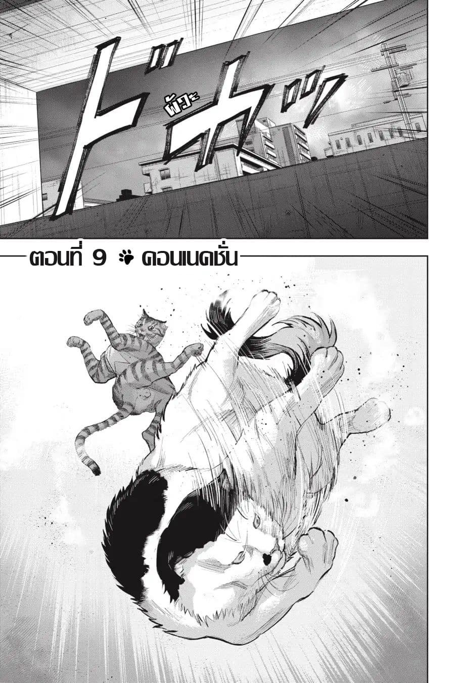 Nyankees page 1