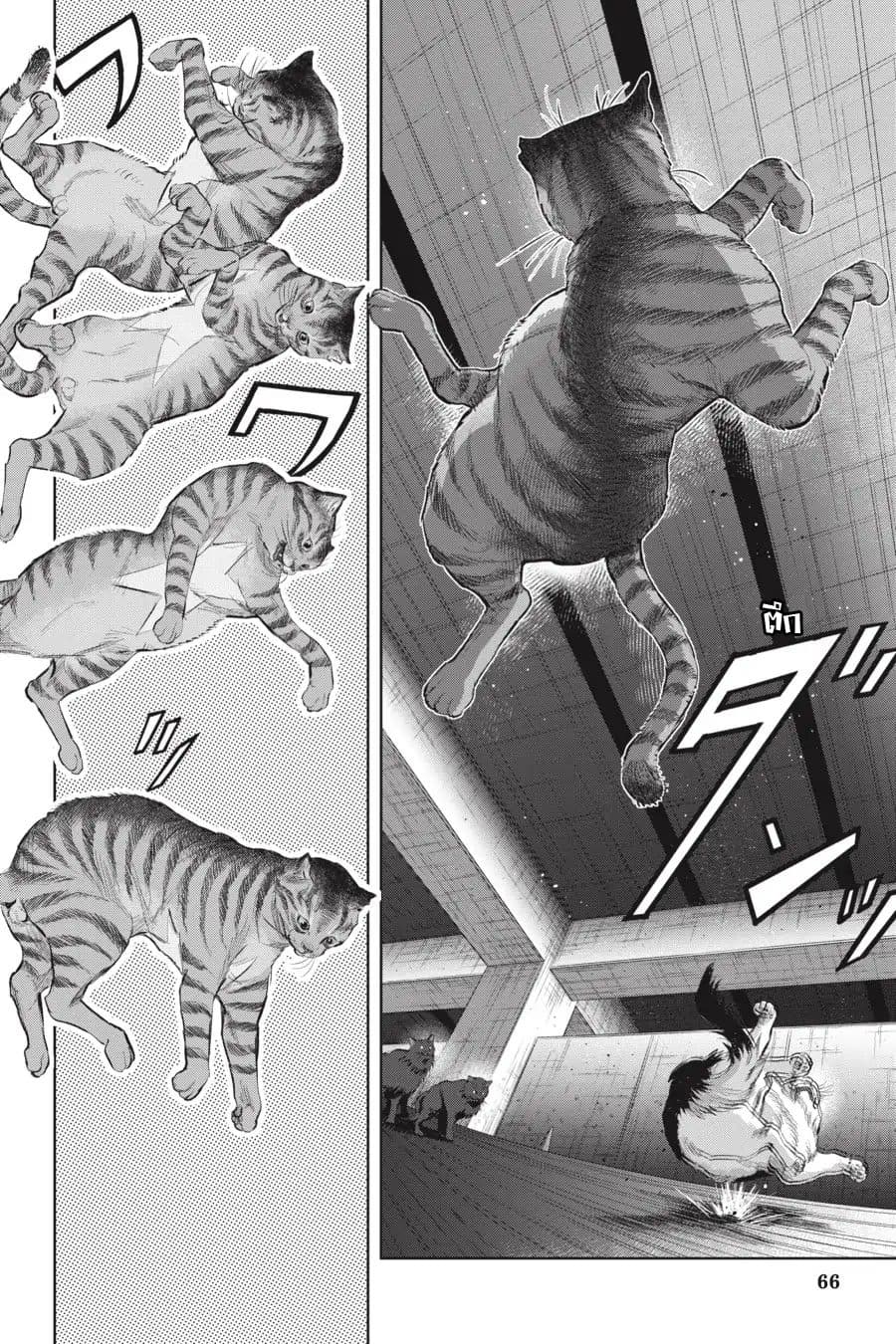 Nyankees page 2