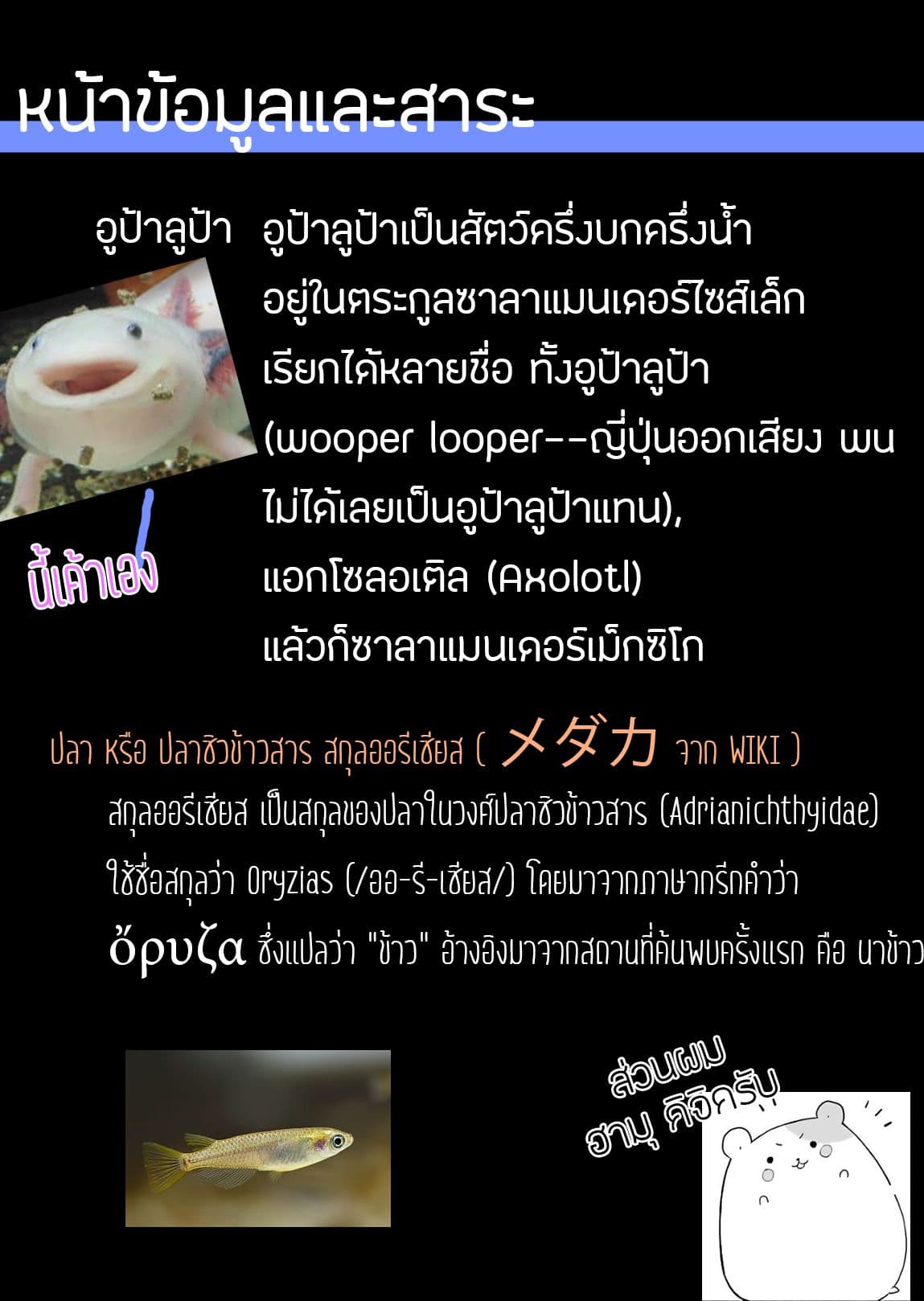 Ore Wa Inu Dewa Arimasen! ผมไม่ใช่น้องหมานะครับรุ่นพี่!! page 18
