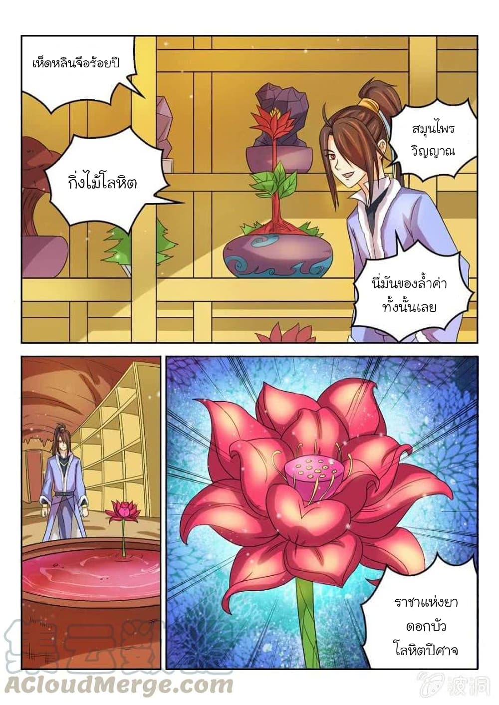 Peerless Heavenly Emperor page 11