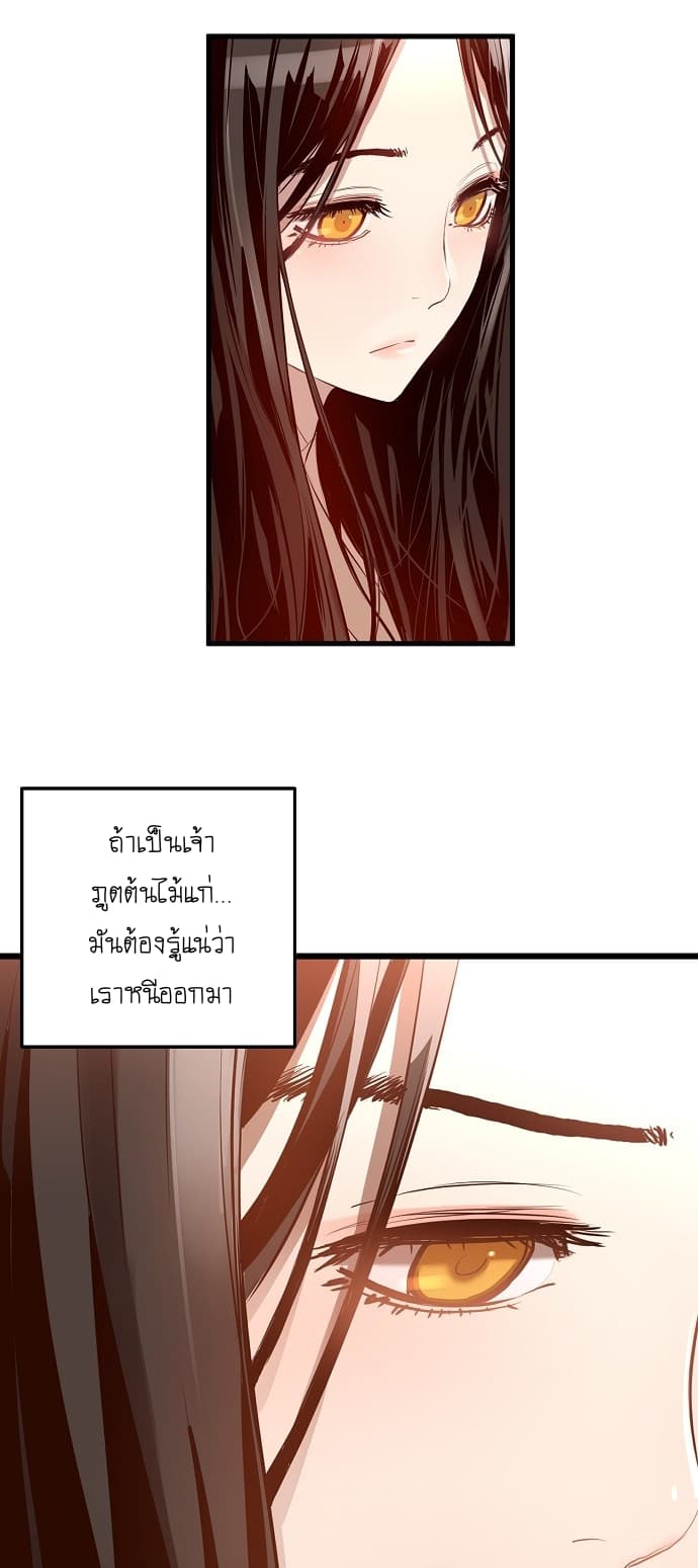 Promised Orchid สัญญาแดนกล้วยไม้ page 27