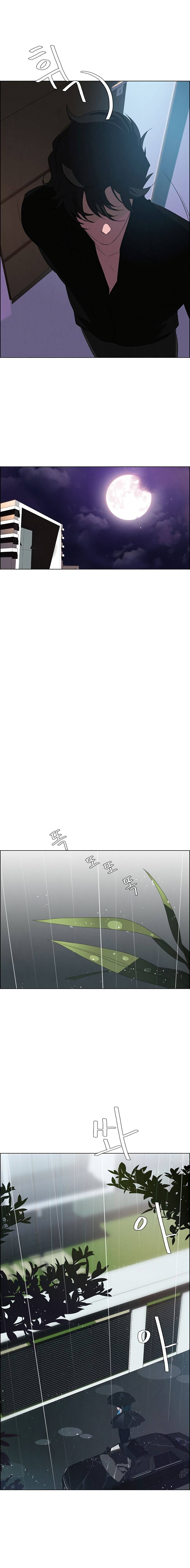 Rain Curtain page 2