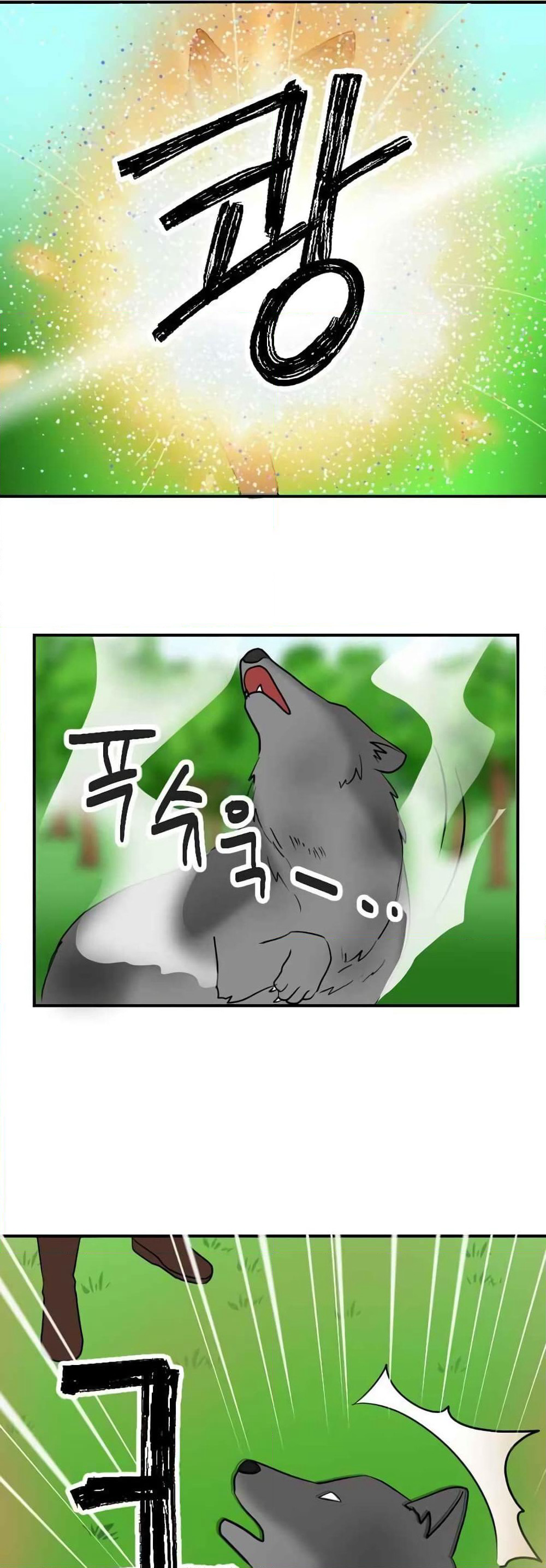 Reader page 17