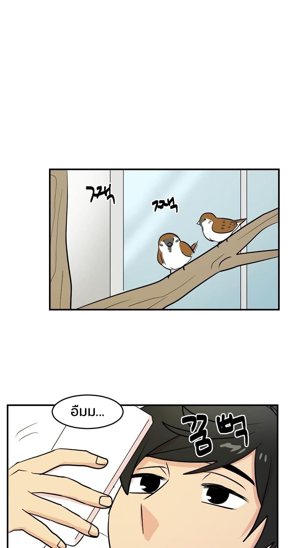 Reader page 13