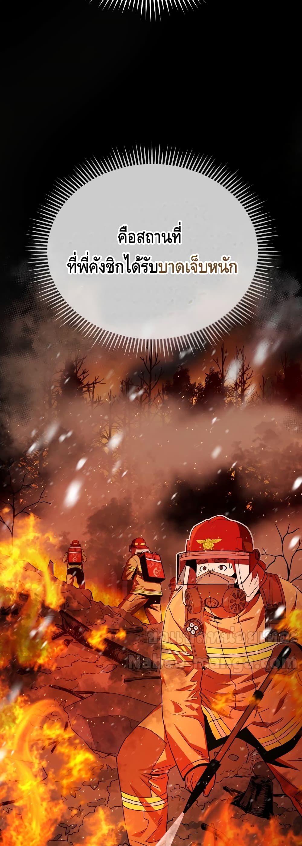 Rescue System page 17