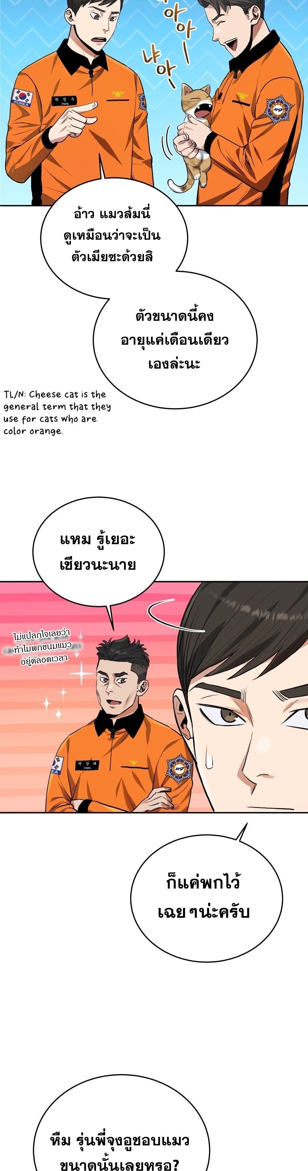 Rescue System page 31