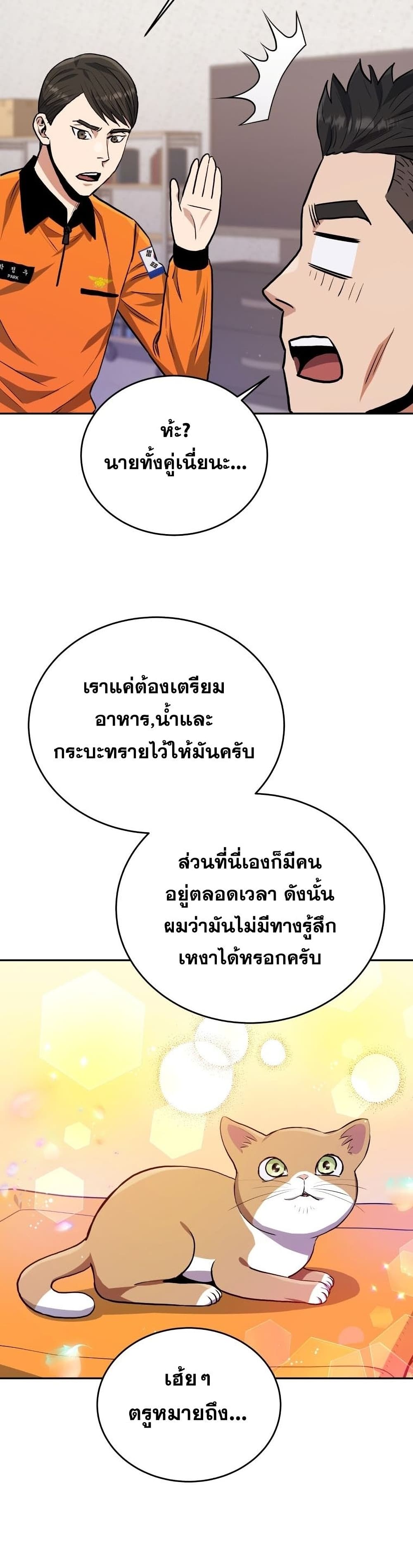 Rescue System page 36