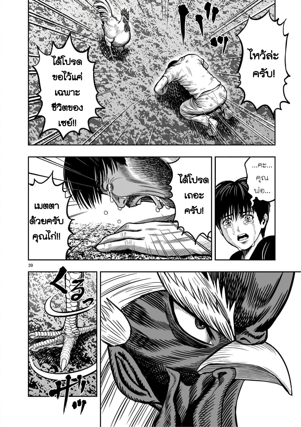 Rooster Fighter page 37