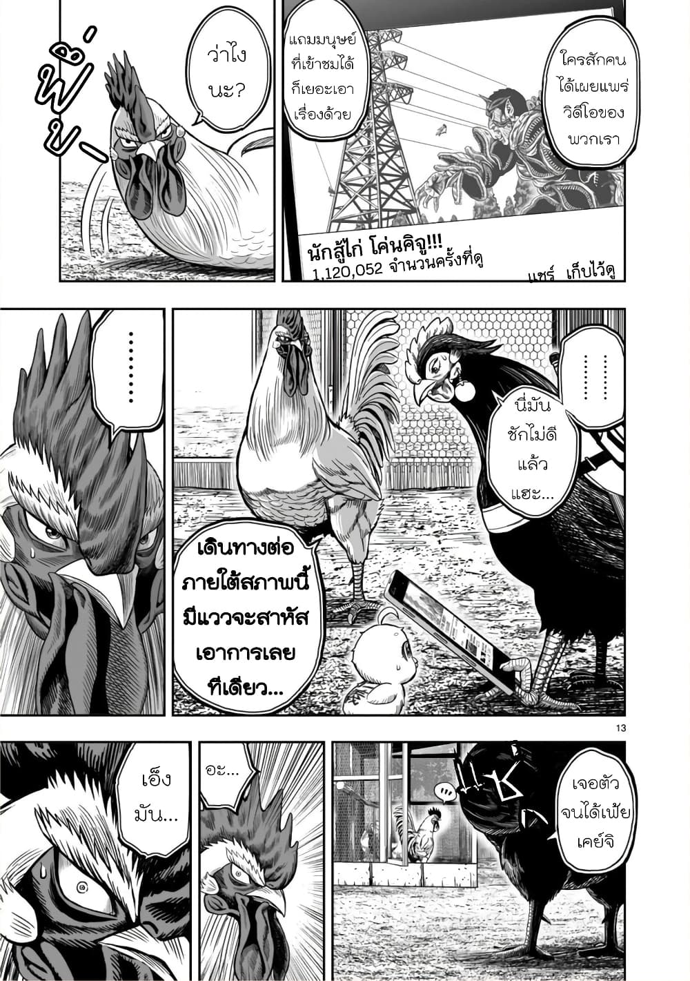 Rooster Fighter page 13
