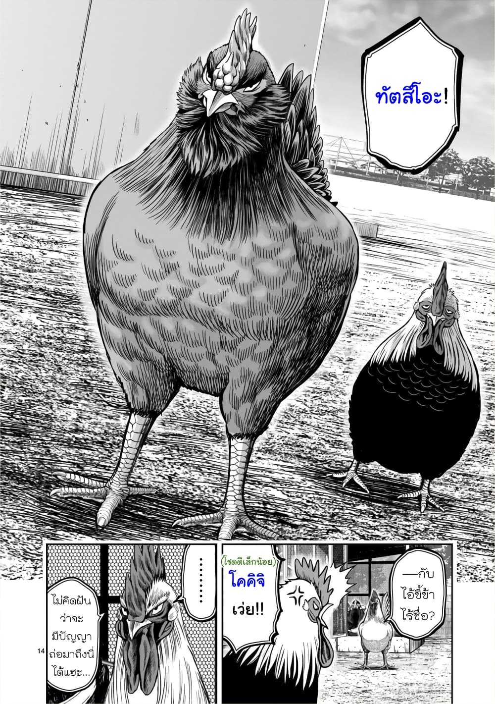 Rooster Fighter page 14