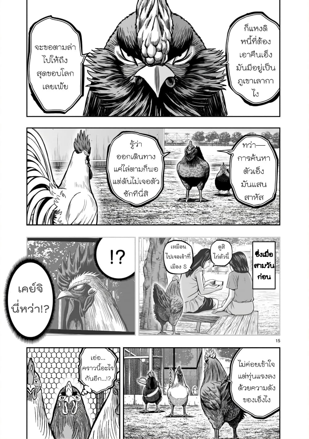 Rooster Fighter page 15