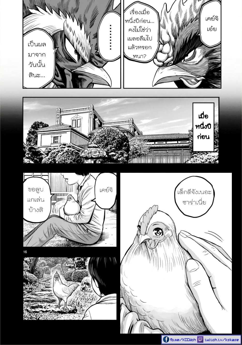 Rooster Fighter page 16