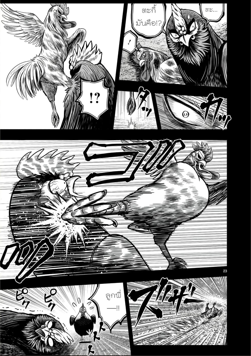 Rooster Fighter page 23