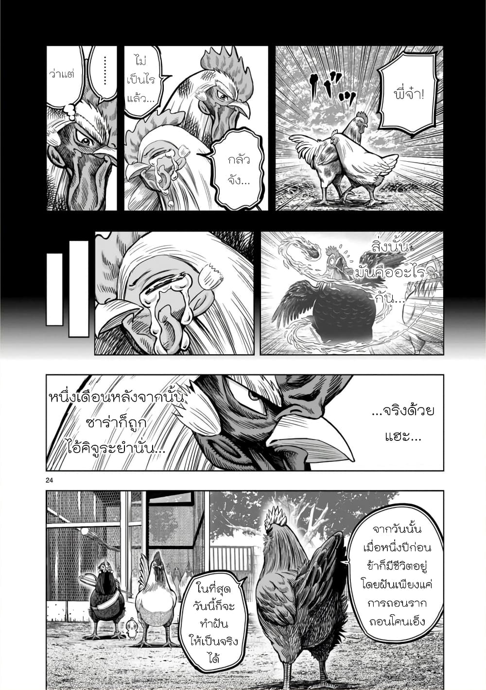 Rooster Fighter page 24