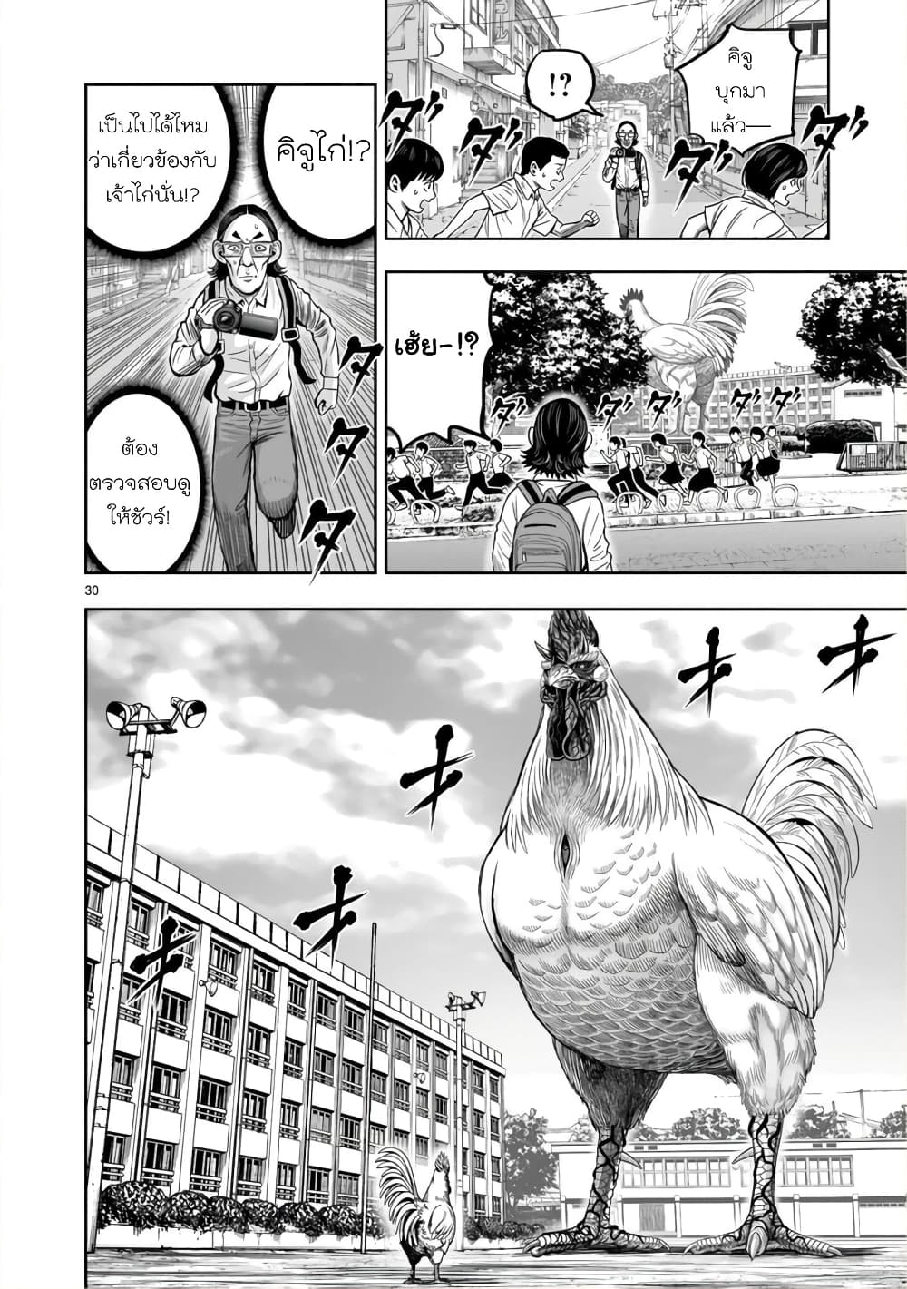 Rooster Fighter page 29