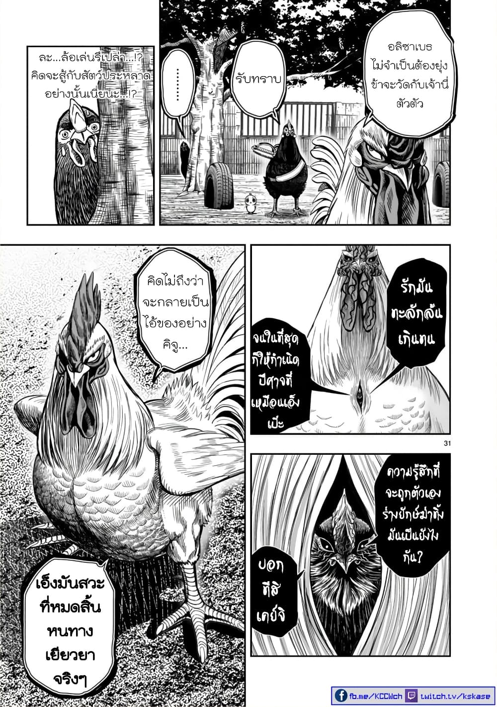Rooster Fighter page 30