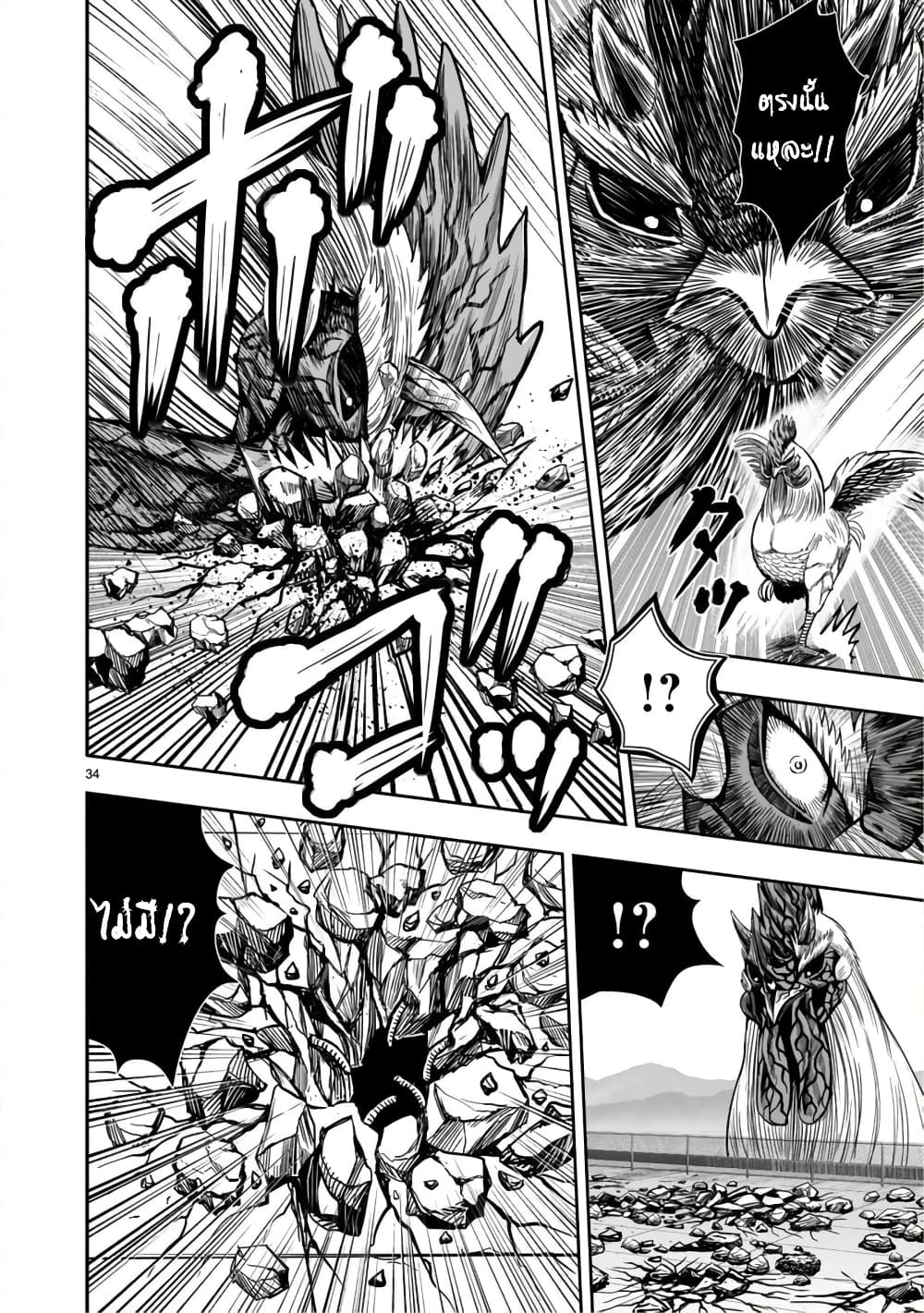 Rooster Fighter page 33