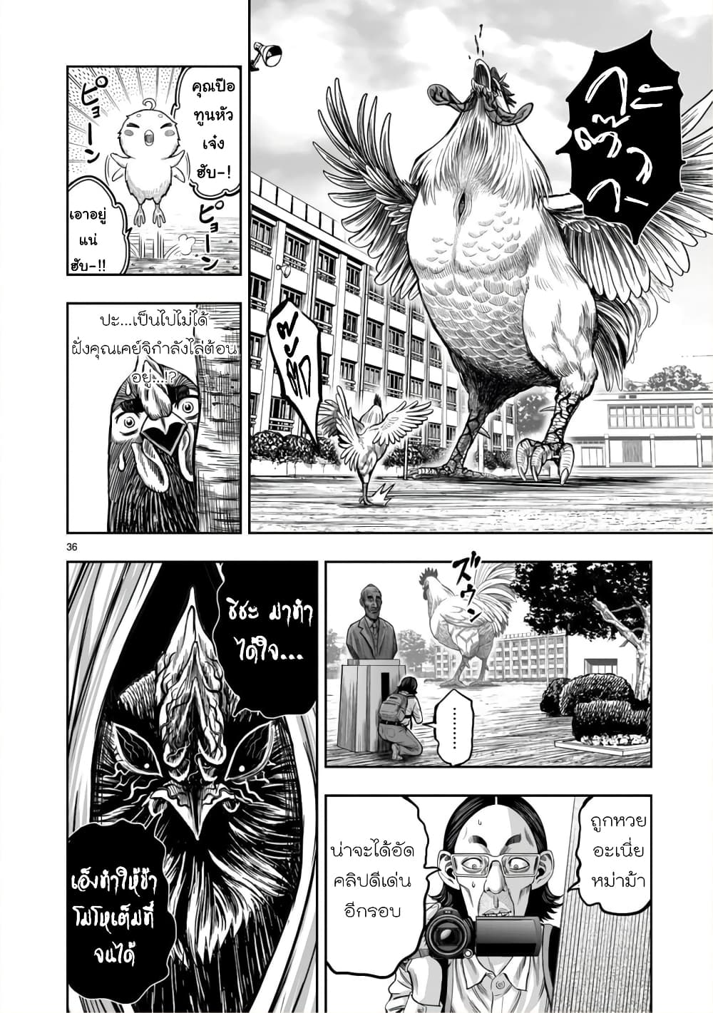 Rooster Fighter page 35