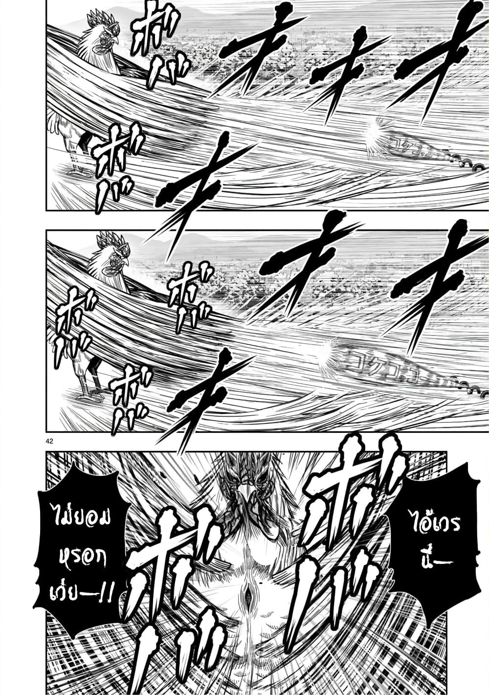 Rooster Fighter page 41