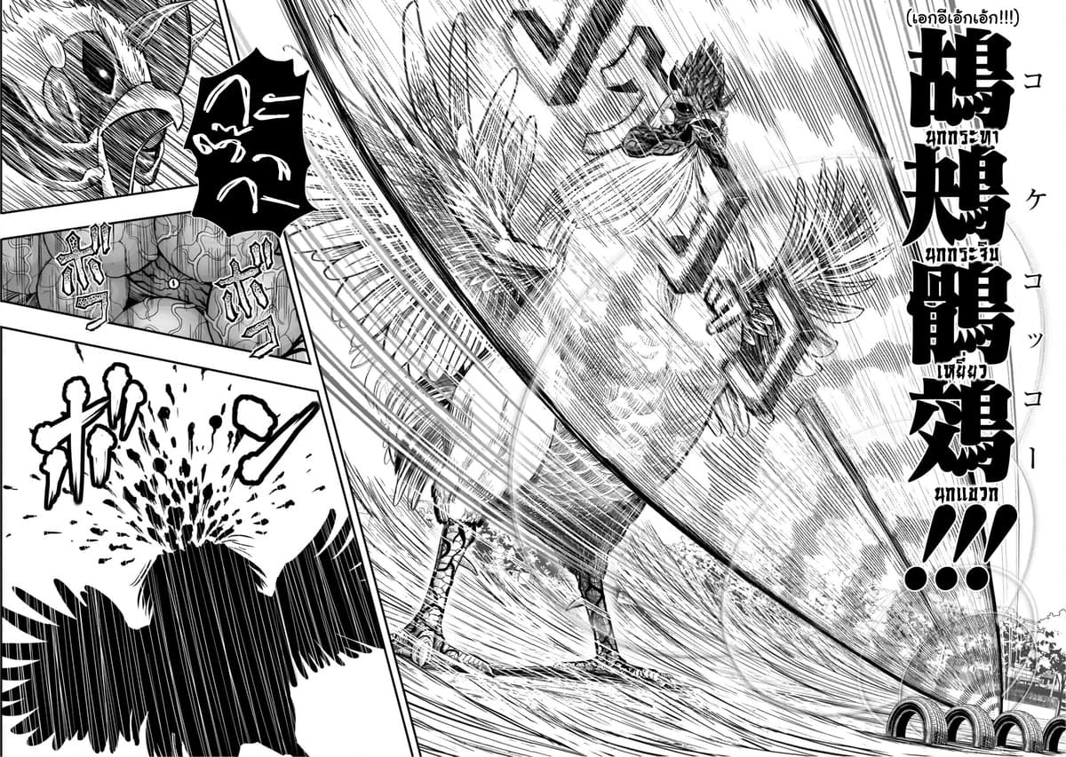 Rooster Fighter page 43