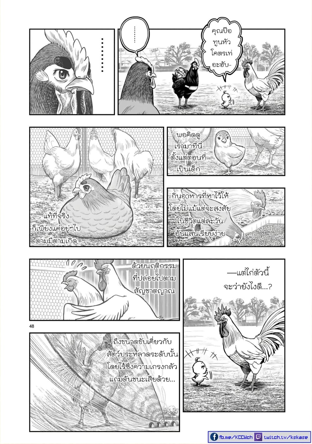 Rooster Fighter page 46