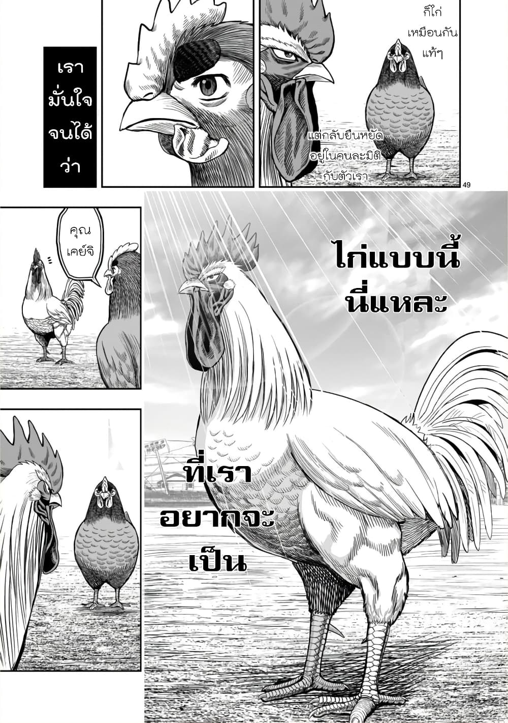 Rooster Fighter page 47