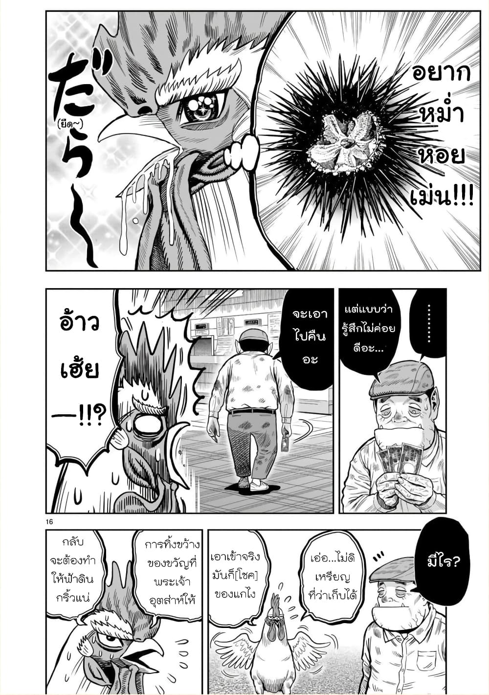 Rooster Fighter page 16