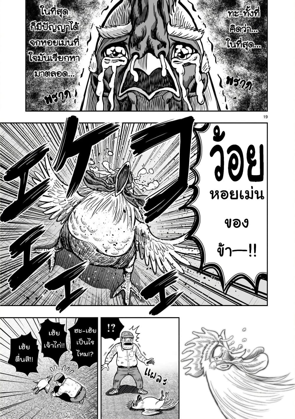 Rooster Fighter page 19