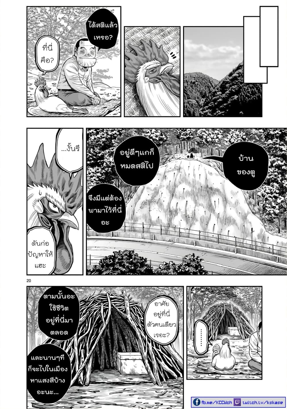 Rooster Fighter page 20