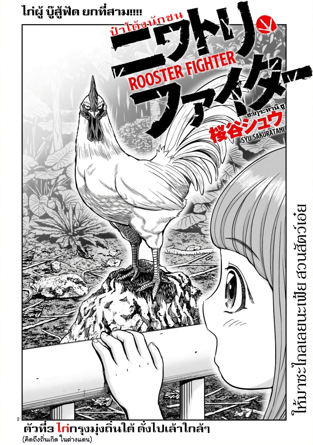 Rooster Fighter page 3