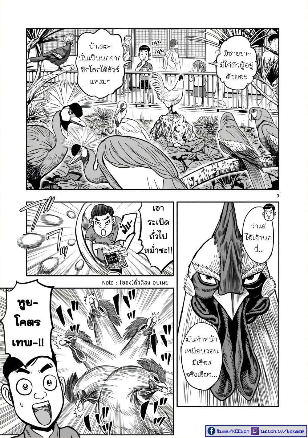 Rooster Fighter page 4