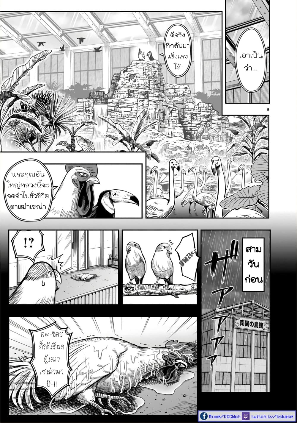 Rooster Fighter page 10