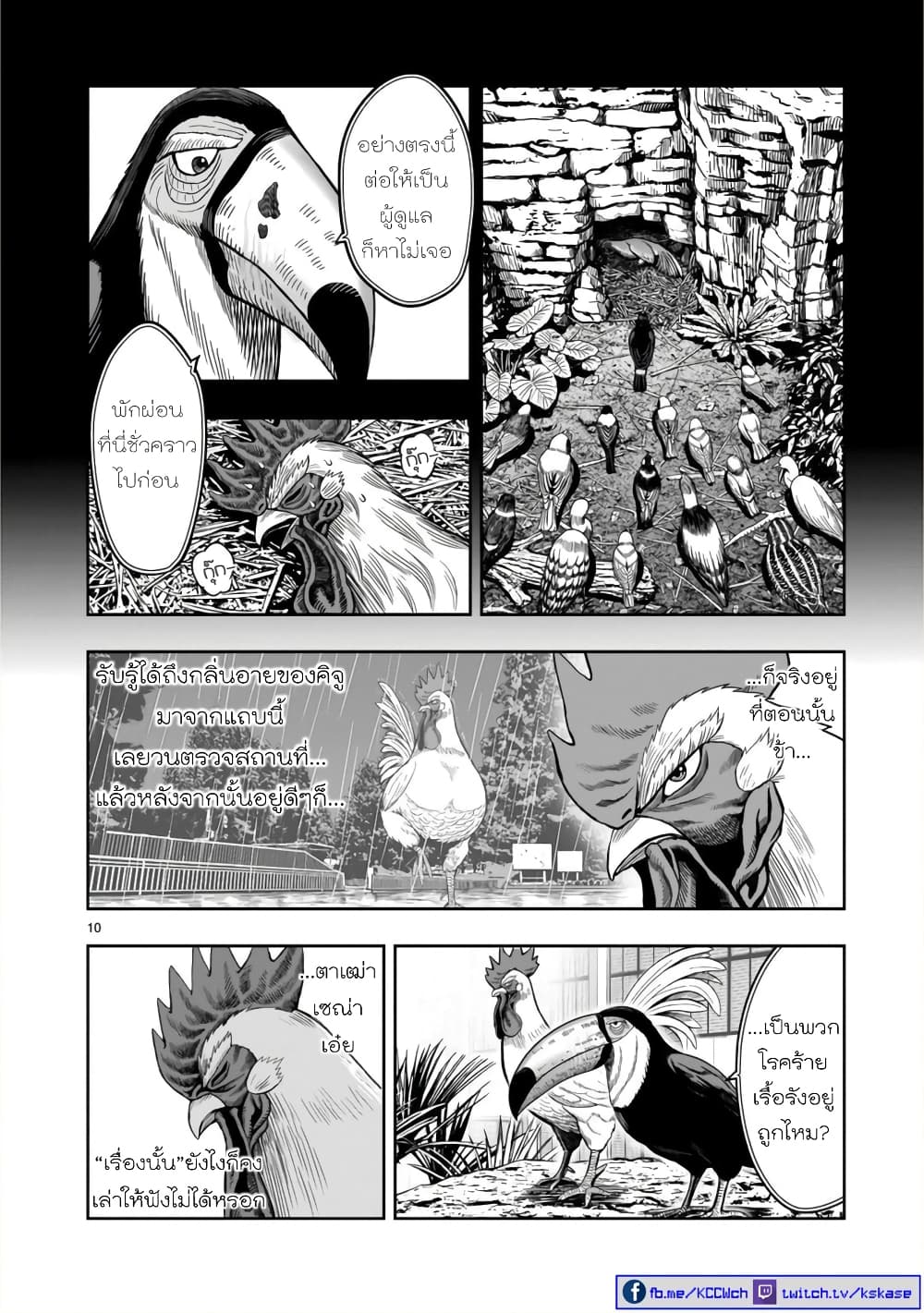 Rooster Fighter page 11