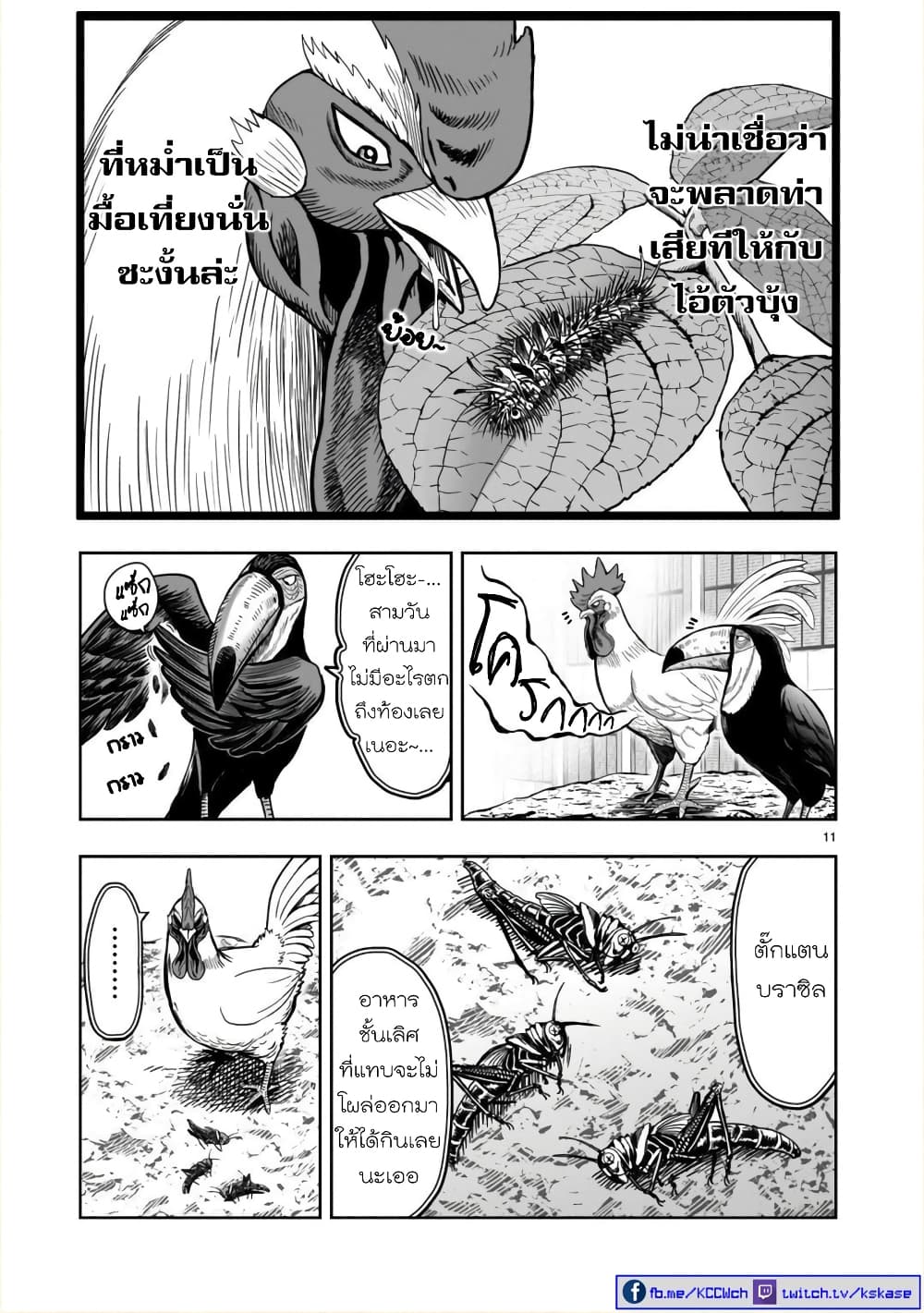 Rooster Fighter page 12