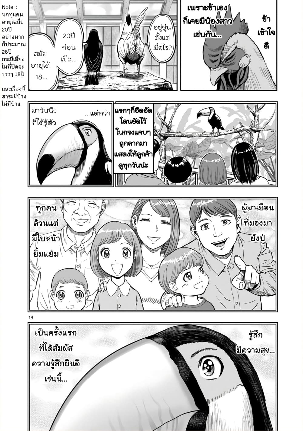 Rooster Fighter page 15