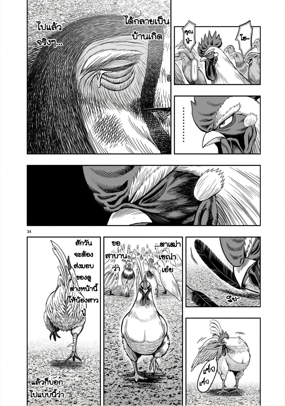 Rooster Fighter page 33