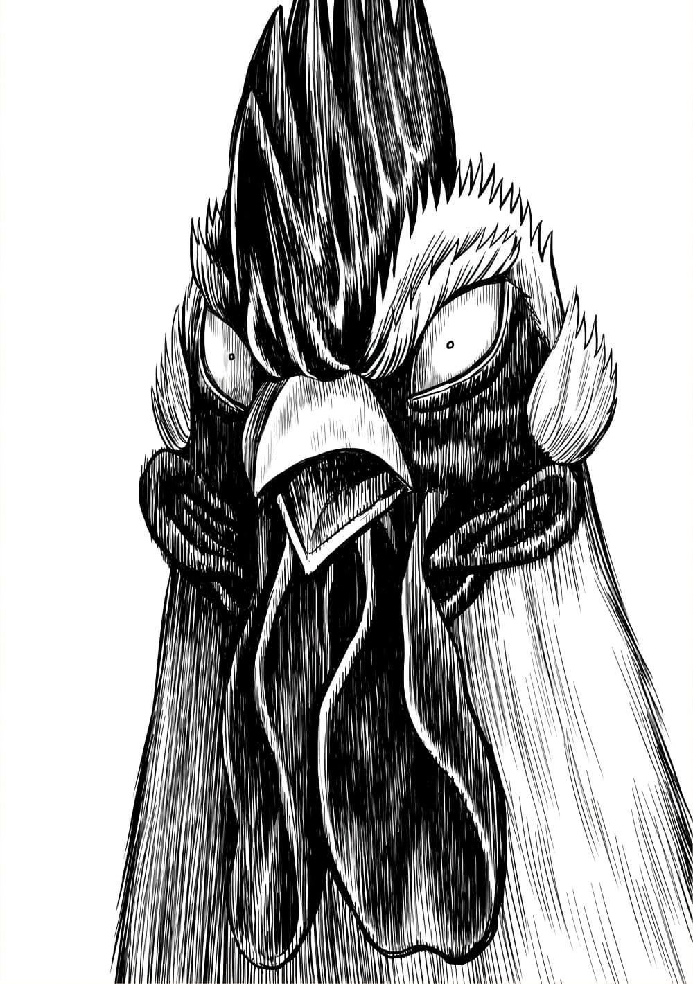 Rooster Fighter page 6