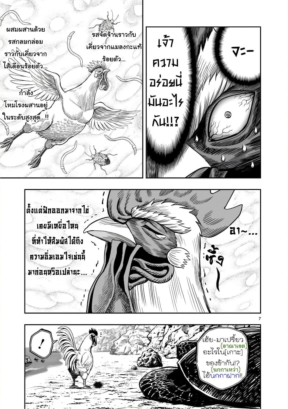 Rooster Fighter page 7