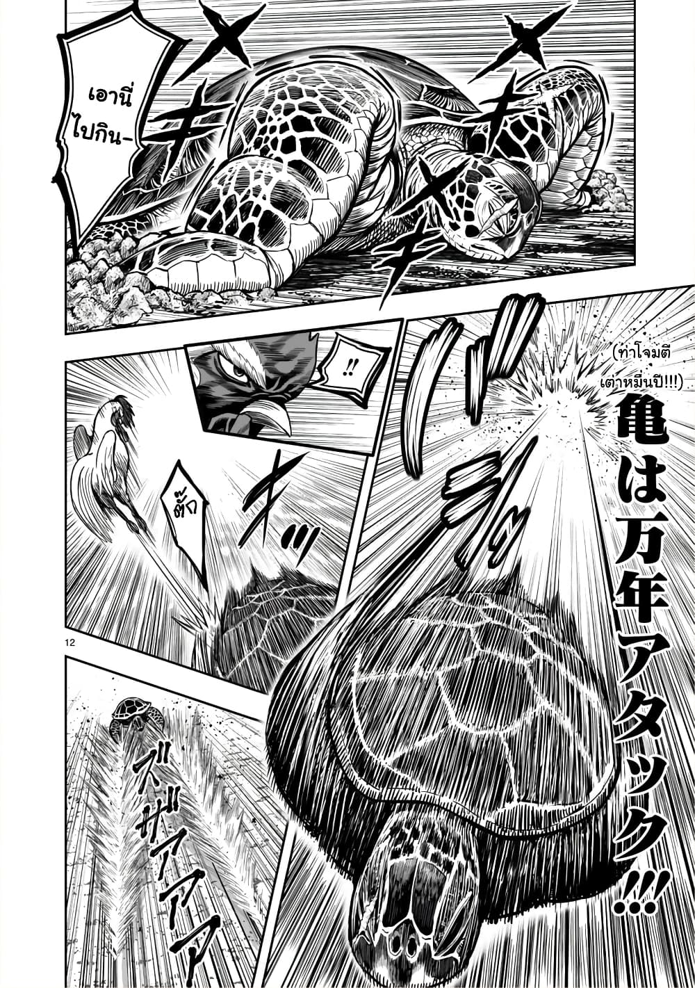 Rooster Fighter page 12