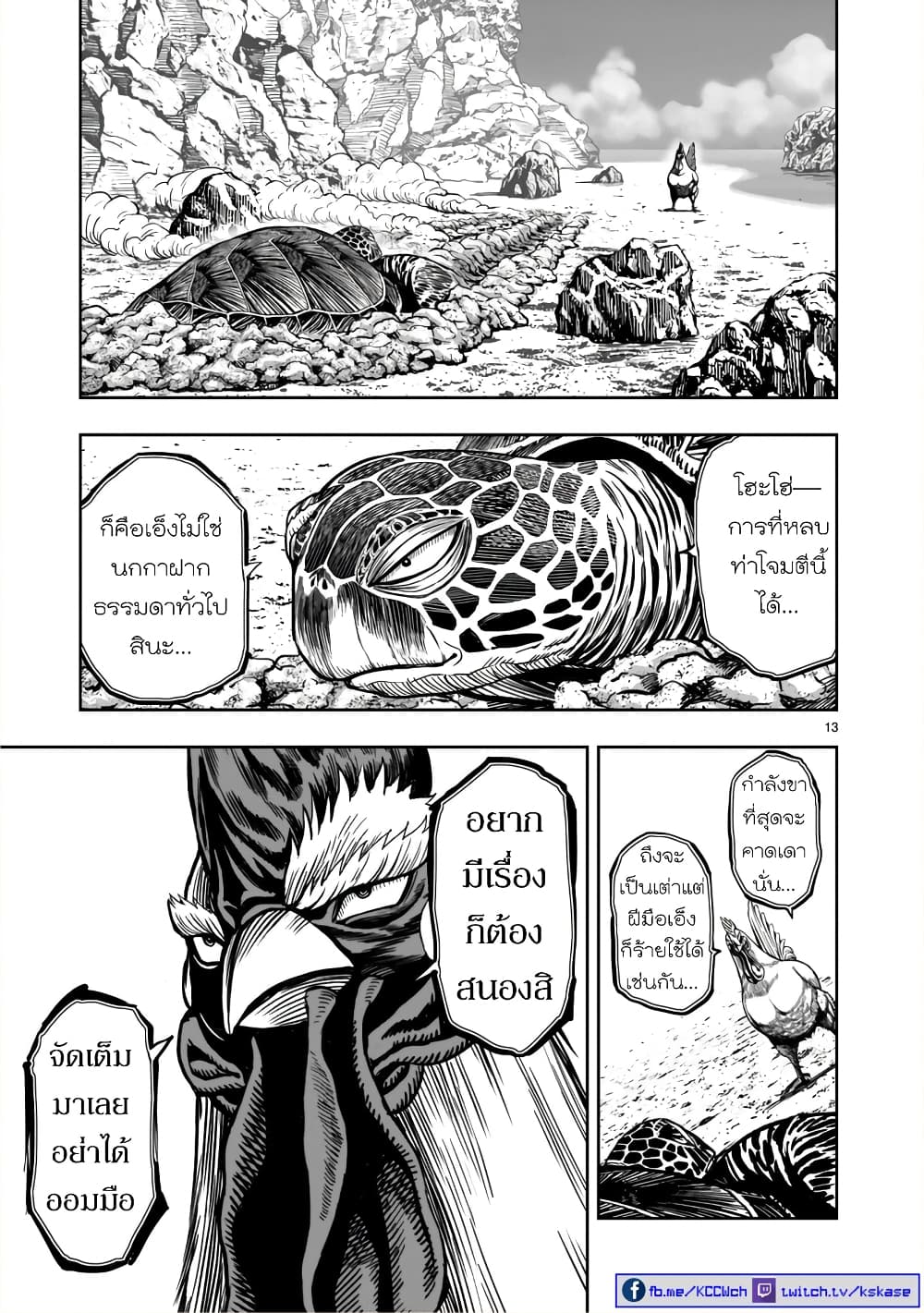 Rooster Fighter page 13