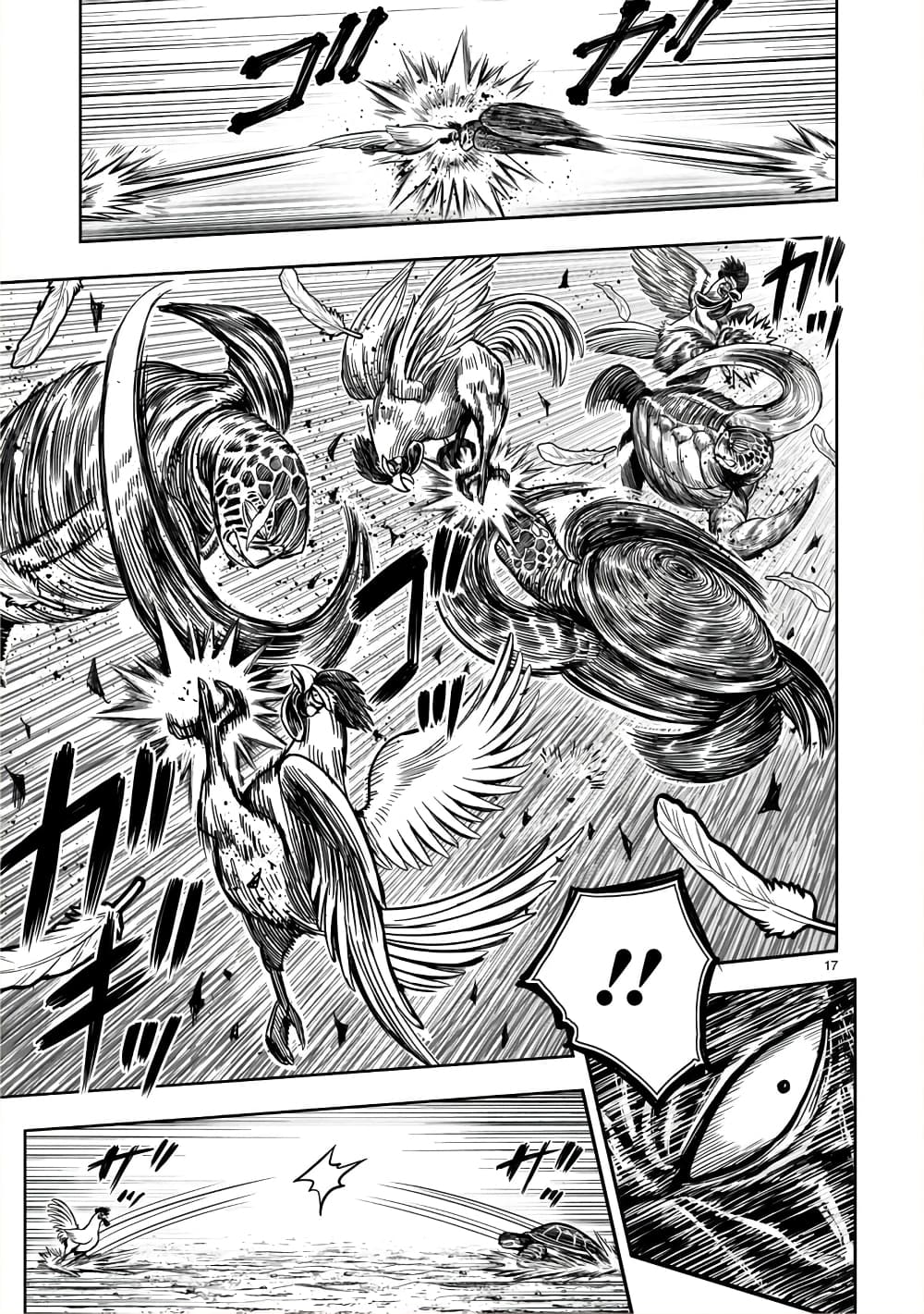 Rooster Fighter page 17