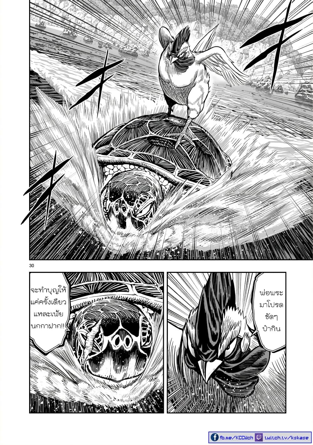 Rooster Fighter page 29