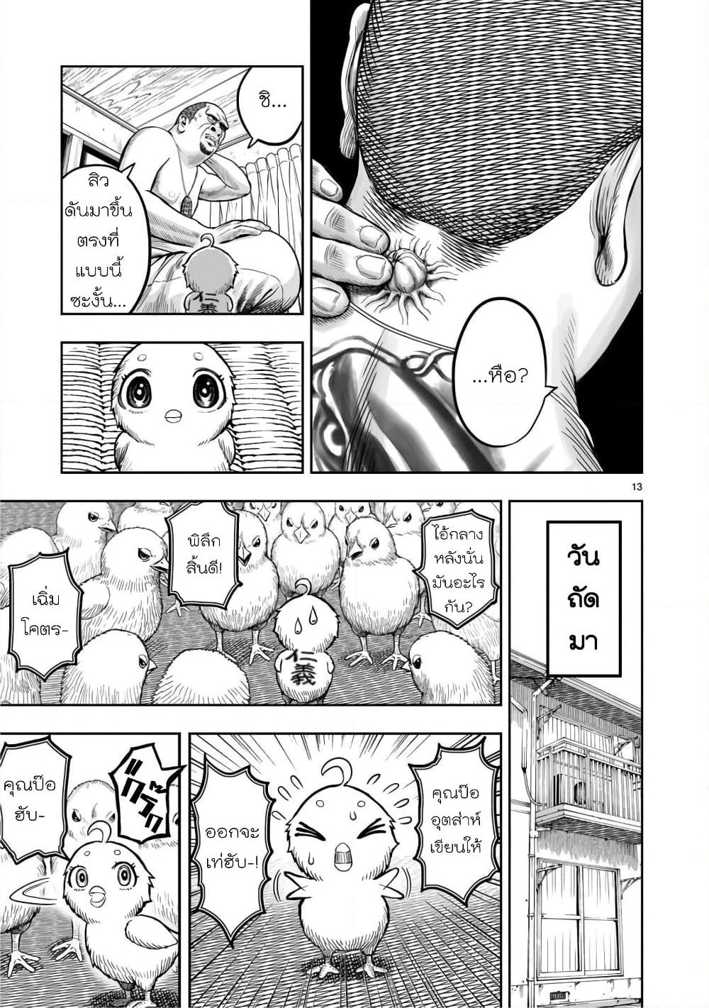 Rooster Fighter page 15