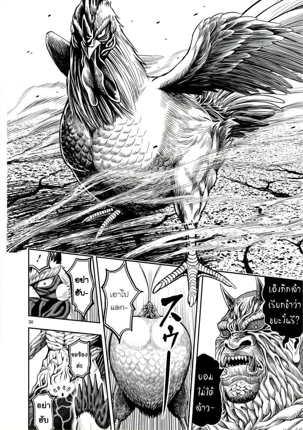 Rooster Fighter page 31