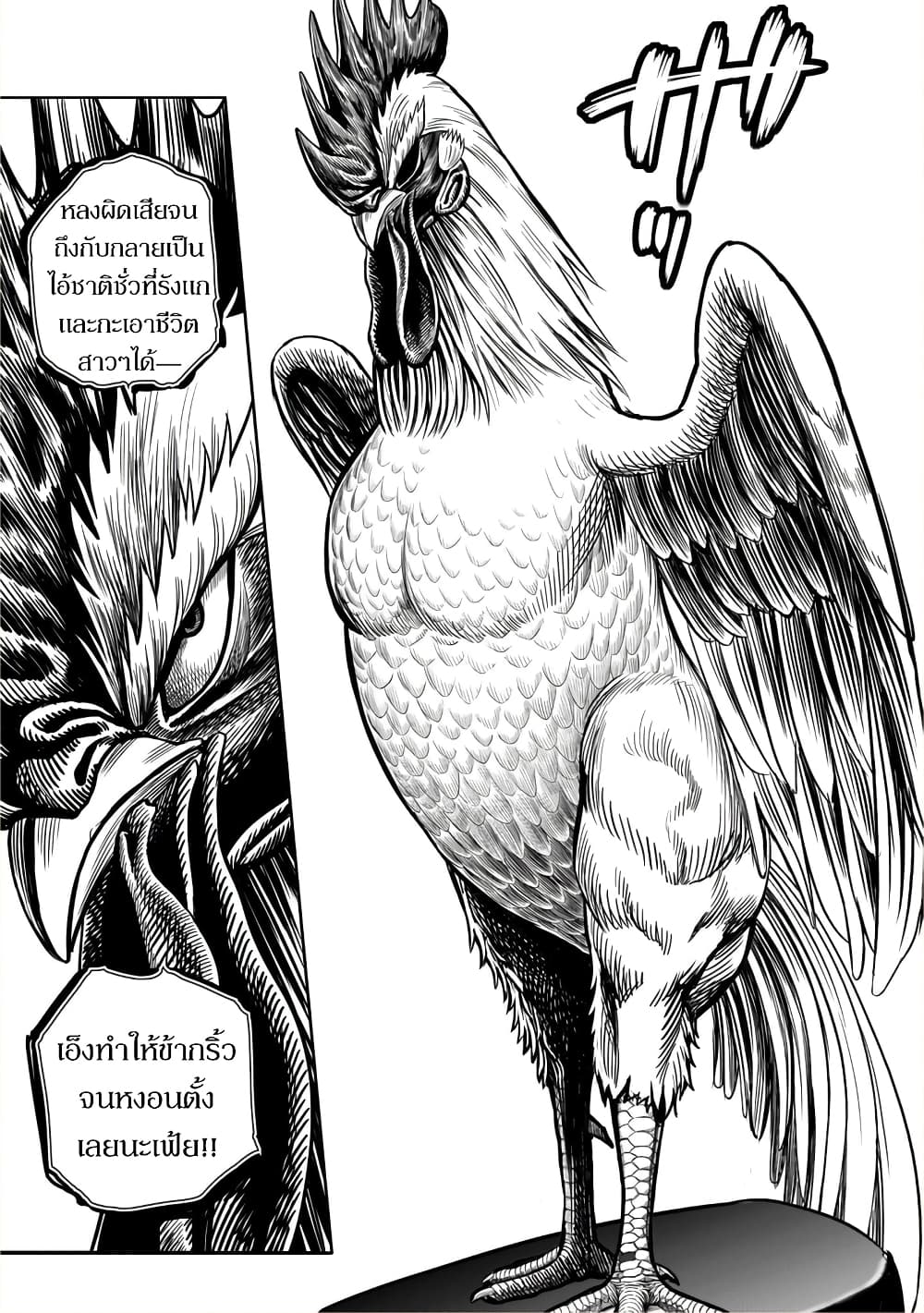Rooster Fighter page 11