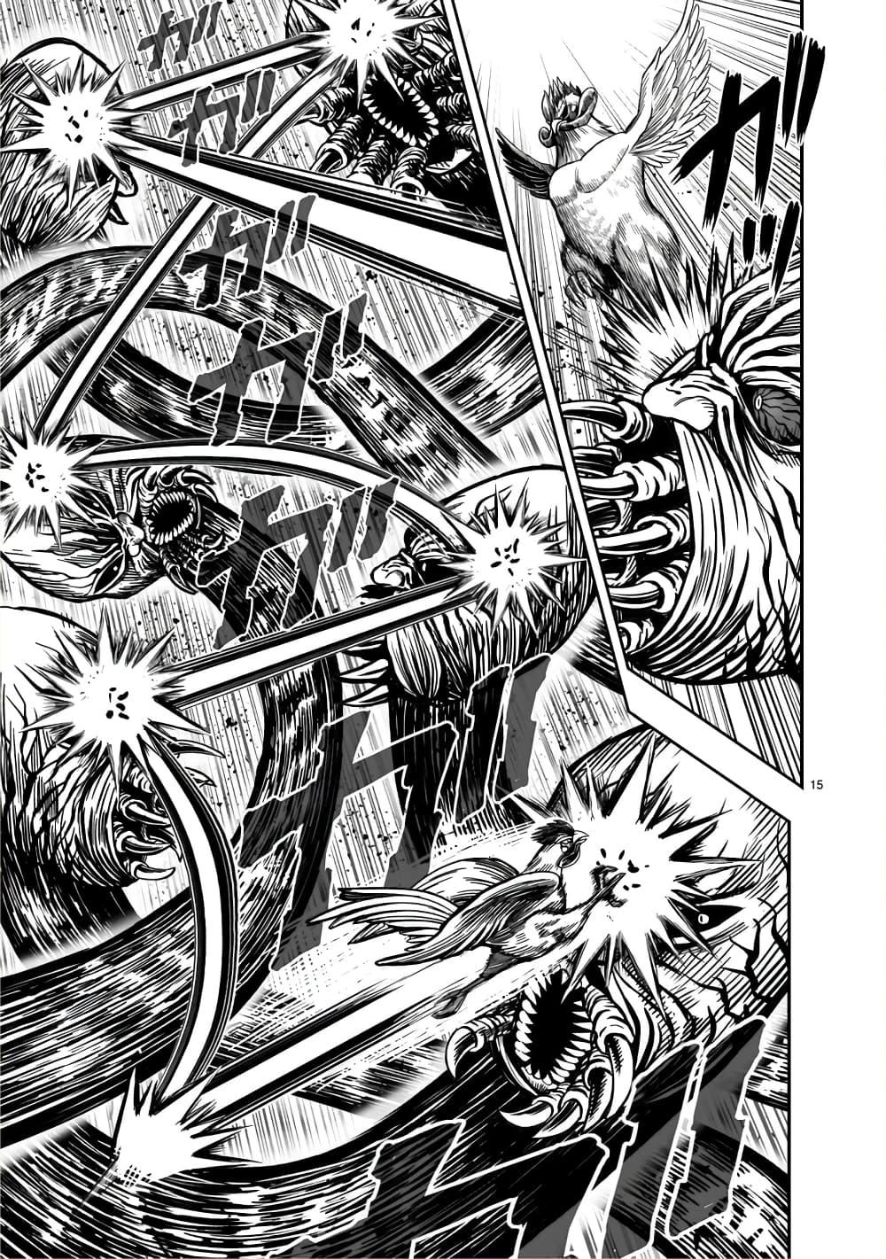 Rooster Fighter page 15