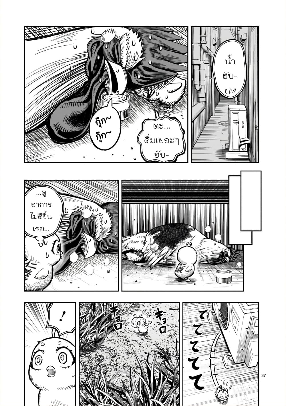 Rooster Fighter page 37