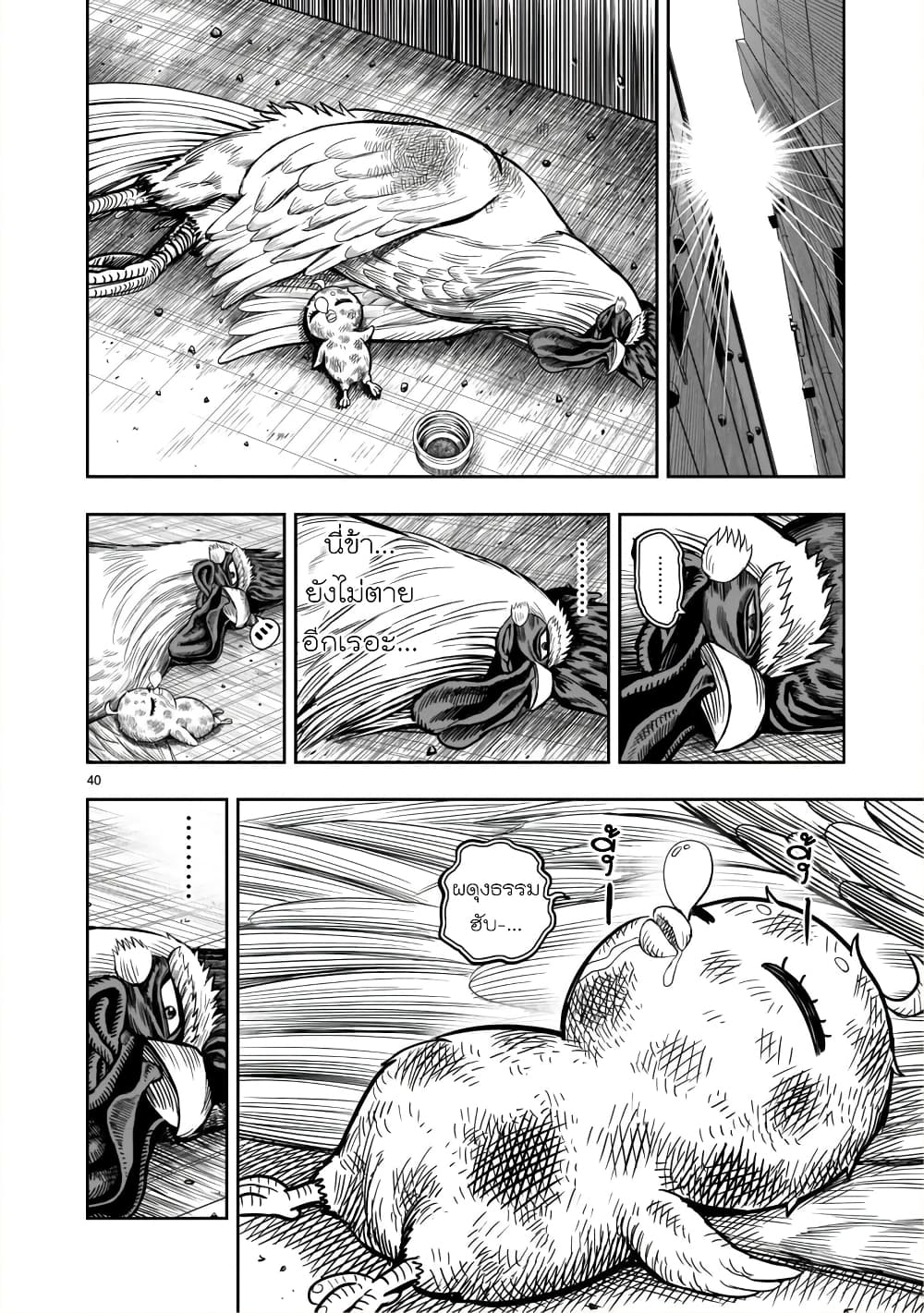 Rooster Fighter page 40